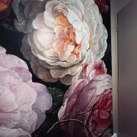 公寓 De Caractere *