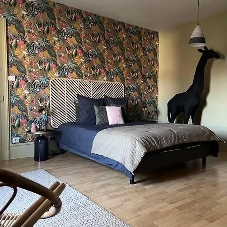 De Caractere Apartment Epinal