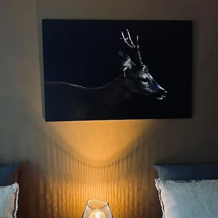 De Caractere Lejlighed